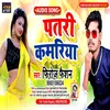 About Patari Kmariya (Bhojpuri Song) Song