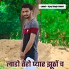 Laado Tero Pyaar Jhutho Ch
