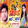 About Bichhare Bhai Bahan (Rakshabandhan Song) Song