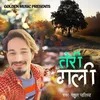 Teri Gali (Hindi)