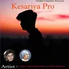 About Kesariya Pro Song