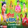 About Purnea Ke Pandal (Devi geet) Song