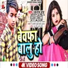 About Bewafa  Balu Ho (Bhojpuri Sad Song) Song