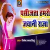 Pasijata Hamaro Jawani Raja (Bhojpuri)