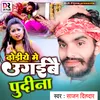 About Dhodiye Me Ugayibai Pudina Song