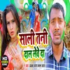 About Sali Tani Dal Leve Da (Holi Song) Song