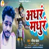 About Adharam Madhuram (Bhojpuri Bhakti) Song