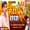 About Meri Radha (Hindi) Song