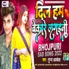 About Dil Ham Bekaare Lagaini (Bhojpuri) Song