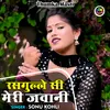 Rasagulle Si Meri Javani (Hindi)