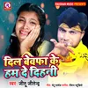 About Dil Bewafa Ke Ham De Dihni Song