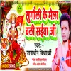 About Sugauli Ke Mela  Chali Saiya Ji Song