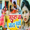 About Sahal Na Jata Sakhi Song