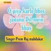 About O Piya Karle Bhes Janana Dil Mein Bhay Song