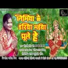 Nimiya Ke Dariya Maiya Jhule Hai (Bhakti Song)