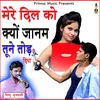 About Mere Dil Ko Kyu Janam Tumne (Hindi) Song