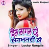 About Dil Lagal Rhe Satbhatri Se (Bhojpuri Song) Song