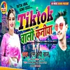 About Ge Mummy Kade Tiktok Wali Kaniya (Bhojpuri) Song