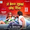 About O Bewfa Mujhko Chhod Diya Song