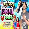About Kai Dihalu Jindagi Barbad (Bhojpuri) Song