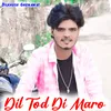 Dil Tod Di Maro