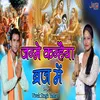 About Janme Kanhaiya Brij Me Song