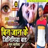 About Bin Jan Ke Jinigiya Bada Sun Lage (Bhojpuri) Song