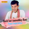 About Hosh Kar Sanwaldey Rani Song