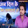 About Ab Dil Ke Ka Samajhai Ho (Bhojpuri) Song