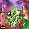 About Tohra Pyar Me Ho Gaini Paglet Re (Bewafai Song) Song