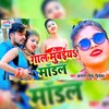 About Gaal Mumbai Model Ke (Antra Singh Priyanka) Song