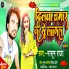 About Dilwa Chamar Ji Se Lagal Song