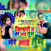 Jindangi Me Mere Aai Ho Tum (Vicky Raj Faizabadi)