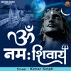About Om Namah Shivay. (Hindi) Song
