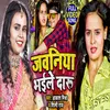 About Javaniya Bhail Daru (Bhojpuri Song) Song