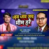 About Jay Jay Bheem Hare Song