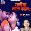 About Galita Lala Kaila (BHOJPURI) Song