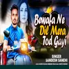 About Bewafa Ne Dil Mera Tod Gayi Song
