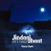 About Jindagi Jhaat Song