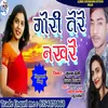 About Gori Tere Nakhare (Haryanvi) Song