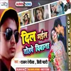 About Dil Bhail Deewana Tohpe (Bhojpuri) Song
