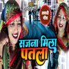 About Sajna Mila Mujhe Patla (Bhojpuri) Song