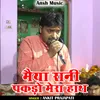 About Maiya Rani Pakado Mera Hath (Hindi) Song