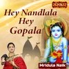 About Hey Nandlala Hey Gopala Song
