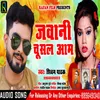 About Jawani Chusal Aam Song