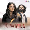 About Tu Na Mila Song