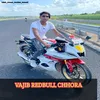 About Vajib Redbull Chhora Song