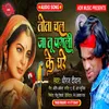 Tota Chal Ja Tu Pagali Ke Ghare (Bhojpuri Song)