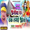 About Bhangiya Par Rok Lagai Bhola (Kanwar Song) Song