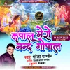 Kripalu Mero Nand Gopal (Hindi)